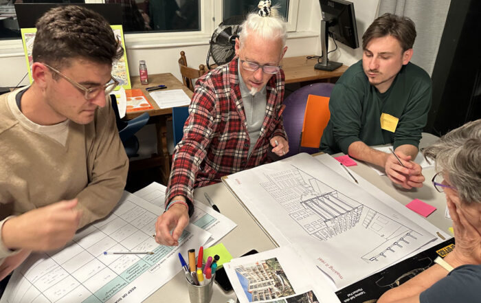 TOWN and Mole lead co-design workshop